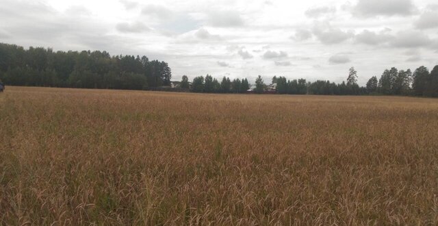 с Одинск Ангарское городское муниципальное образование, Ангарск фото