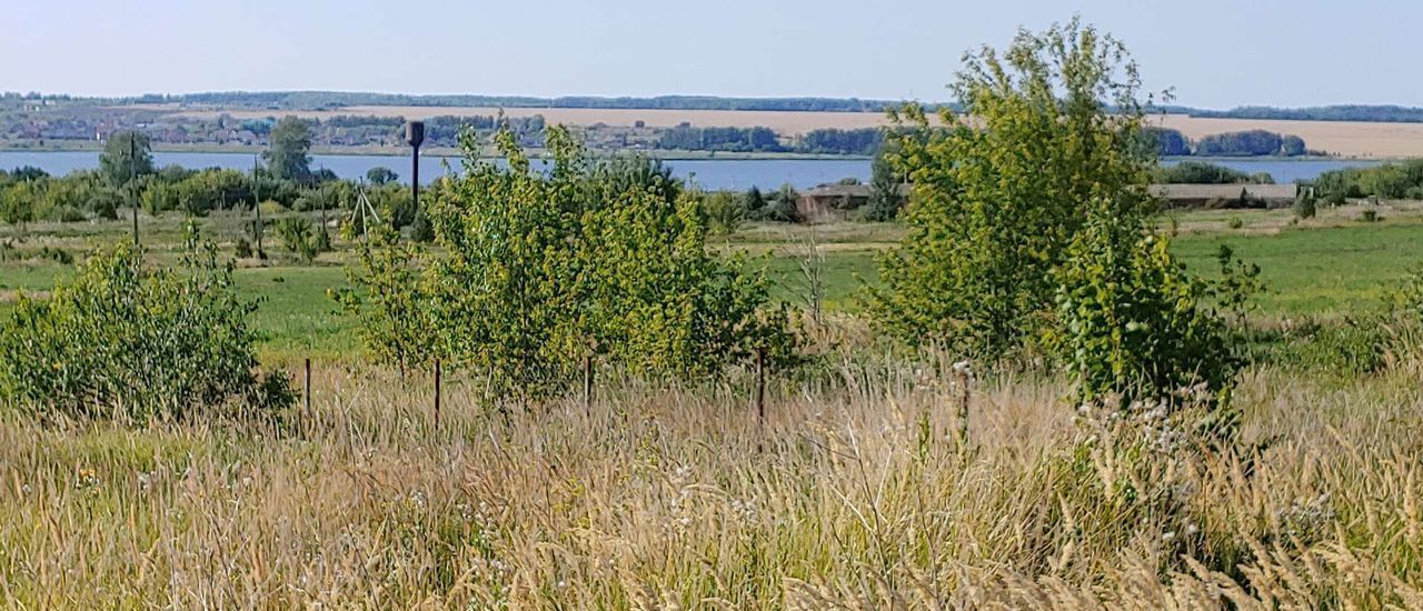 земля р-н Мензелинский п свх Воровского ул Д.Латыпова Мензелинск фото 9