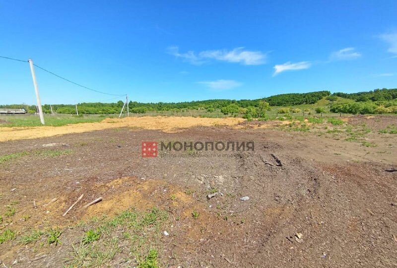 земля р-н Серышевский с Бочкаревка Белогорск фото 1