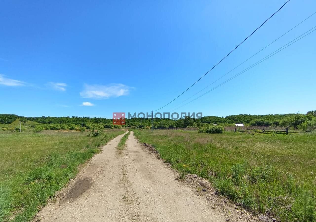 земля р-н Серышевский с Бочкаревка Белогорск фото 3