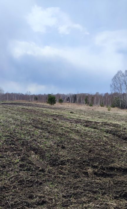 земля р-н Емельяновский с Еловое ул Березовая фото 2