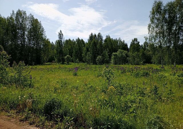 д Заполье Таборское сельское поселение, Оханск фото