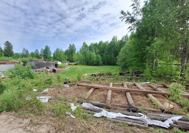 снт Кузя садово-огородническое товарищество фото