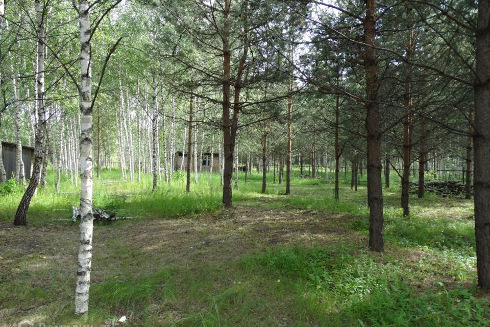 земля городской округ Павловский Посад садовое товарищество Эдем фото 1