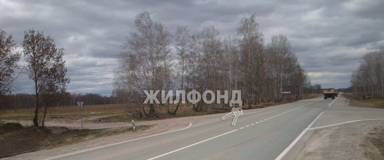 земля р-н Новосибирский с Верх-Тула фото 1