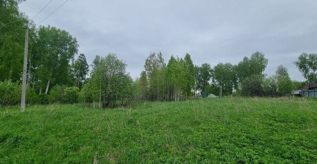 Барышевский сельсовет, Новосибирск, садовое товарищество Ключи-3 фото