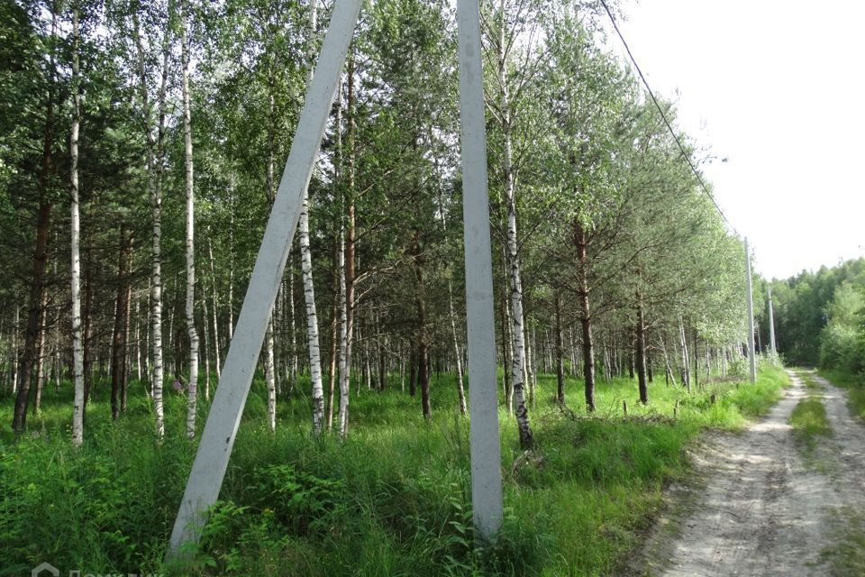 земля городской округ Павловский Посад садовое товарищество Эдем фото 5