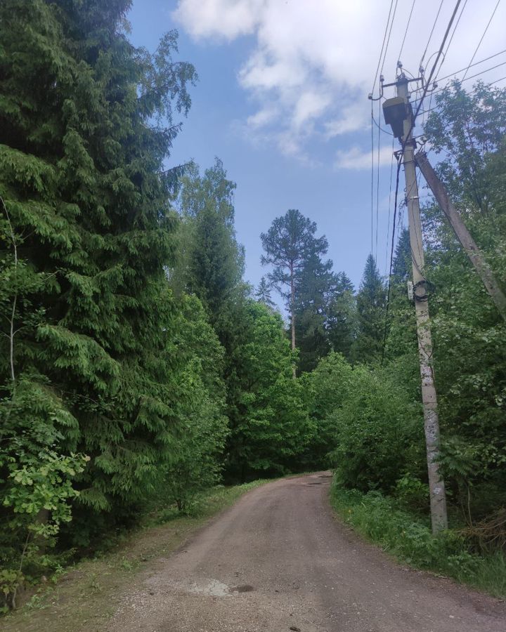 земля городской округ Рузский п Колюбакино снт Рузские Зори 78, Тучково фото 4