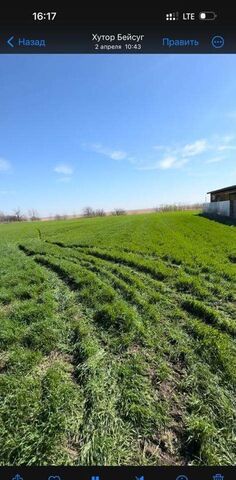 х Бейсуг Ольгинское сельское поселение, Ольгинская фото