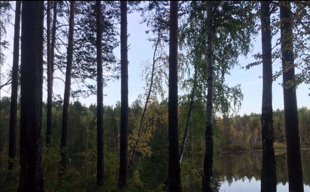 земля г Новоуральск д Елани Билимбай фото 8