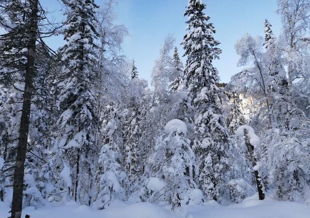 ЖК «Березовый» Марковское городское поселение фото