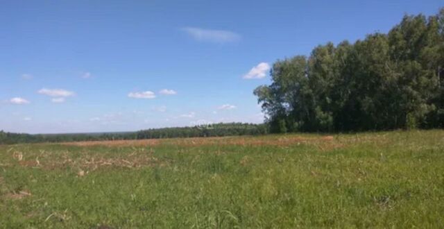 земля д Косоурка Ивановская область, Пучеж фото