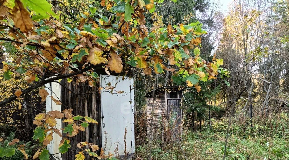 земля городской округ Пушкинский д Никольское снт Щеглово 143 фото 2