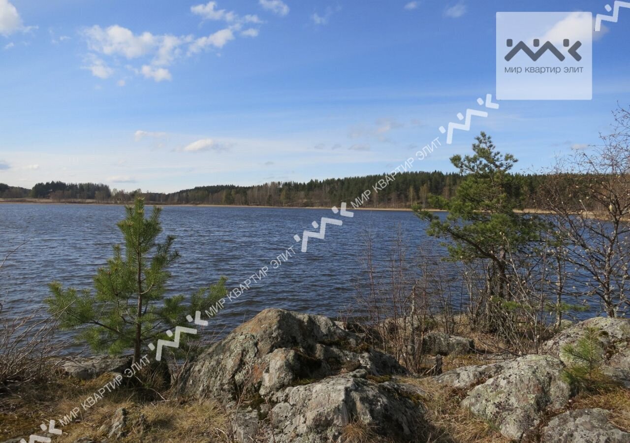 земля р-н Лахденпохский Хийтольское сельское поселение, квартал 0051303, Ленинградская область, Кузнечное фото 12