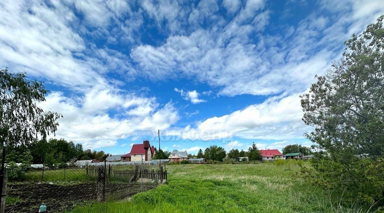 дом р-н Новосибирский с Береговое ул Центральная Боровской сельсовет фото 5