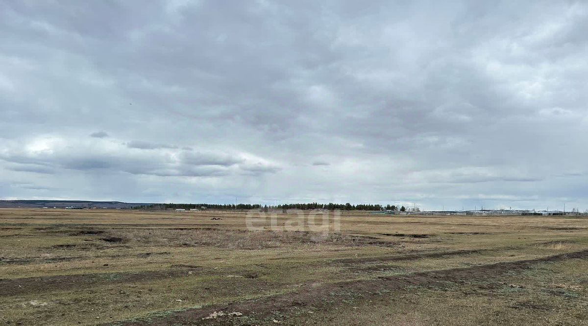 земля г Якутск Покровский тракт, 16-й км фото 9