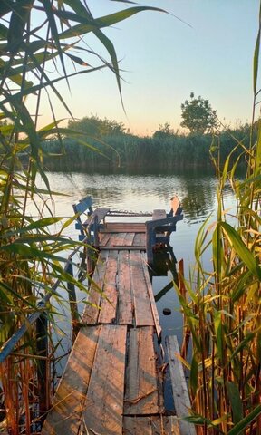 п Кирпичный Тимашевское городское поселение, 1-я линия фото