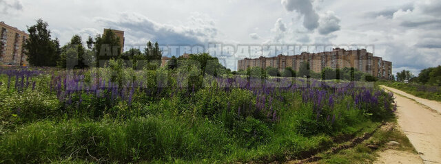 земля р-н Промышленный садовое товарищество Рассвет Одинцово фото