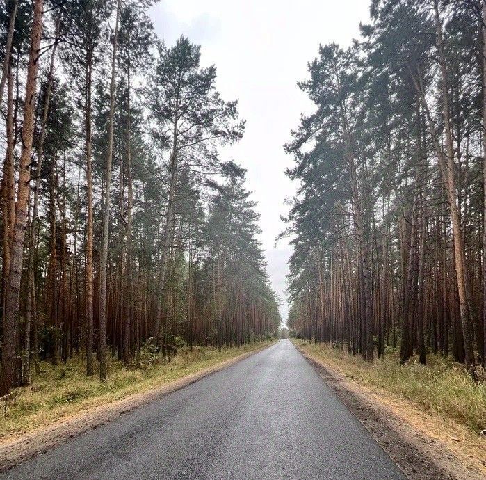 земля р-н Дзержинский д Камельгино с пос, Дворцы фото 6