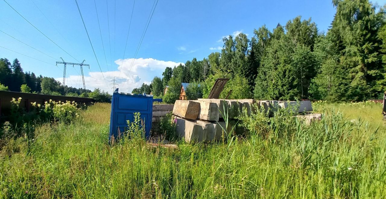 земля городской округ Истра г Снегири 1, г. о. Истра, СНТ Природа фото 7