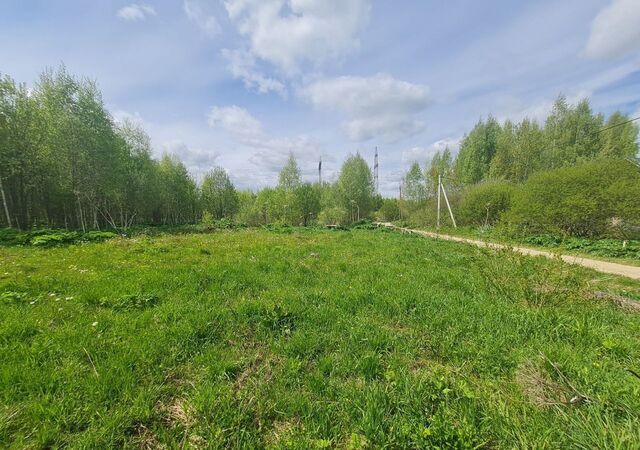 земля д Полежайки г. о. Солнечногорск, Поварово фото