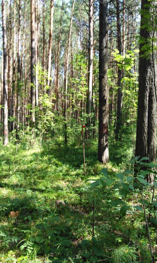 земля г Томск с Дзержинское р-н Кировский фото 1