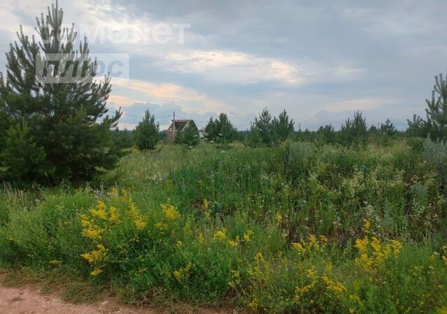 г Благовещенск сельсовет, Садовая ул., 36, Николаевский, д. Дмитриевка фото