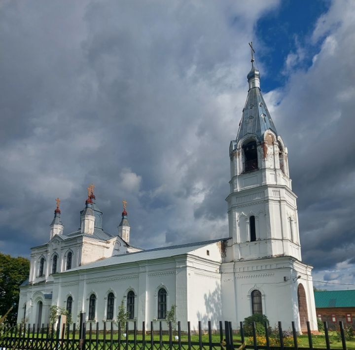 земля городской округ Шаховская с Раменье ул Рябиновая Лотошино фото 10