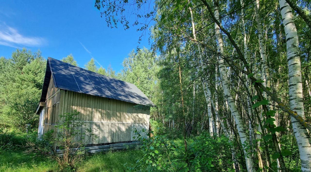 дом городской округ Орехово-Зуевский п Тополиный снт Дружба 75, Орехово-Зуево фото 38