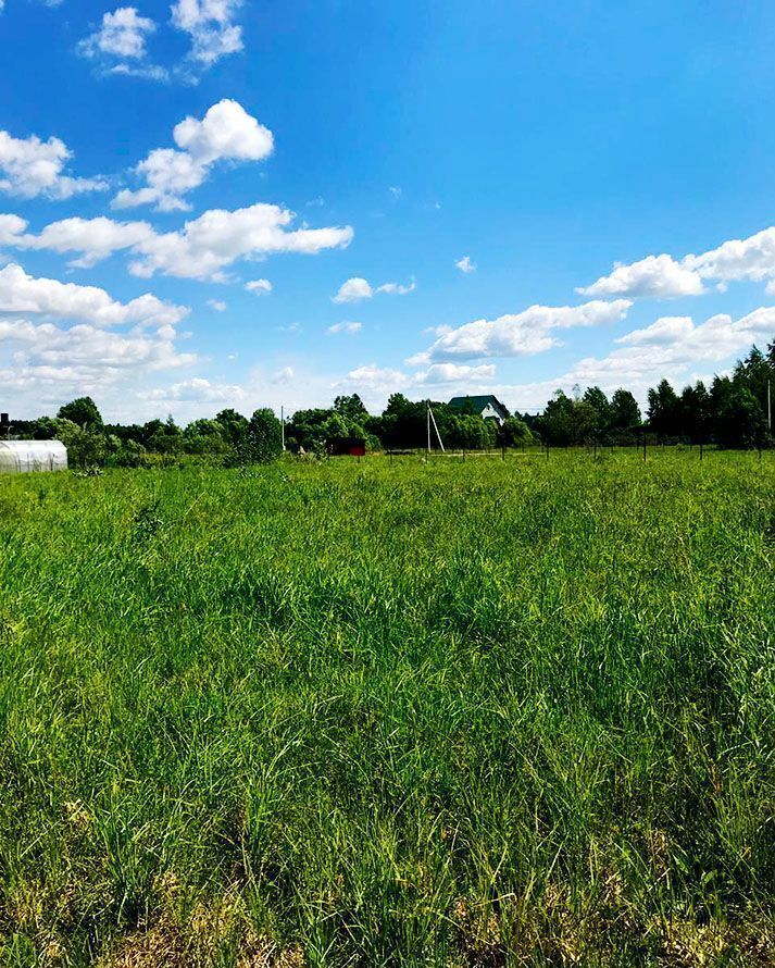 земля р-н Городецкий с. Зиняки, Балахна фото 1