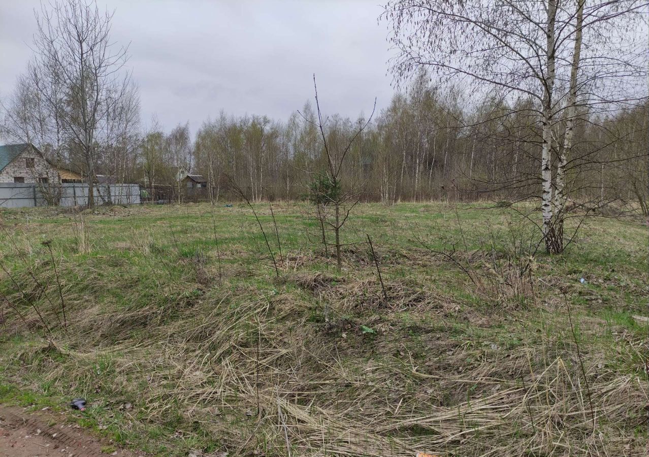 земля р-н Суражский г Сураж ул Имени Грибанова Суражское городское поселение фото 2