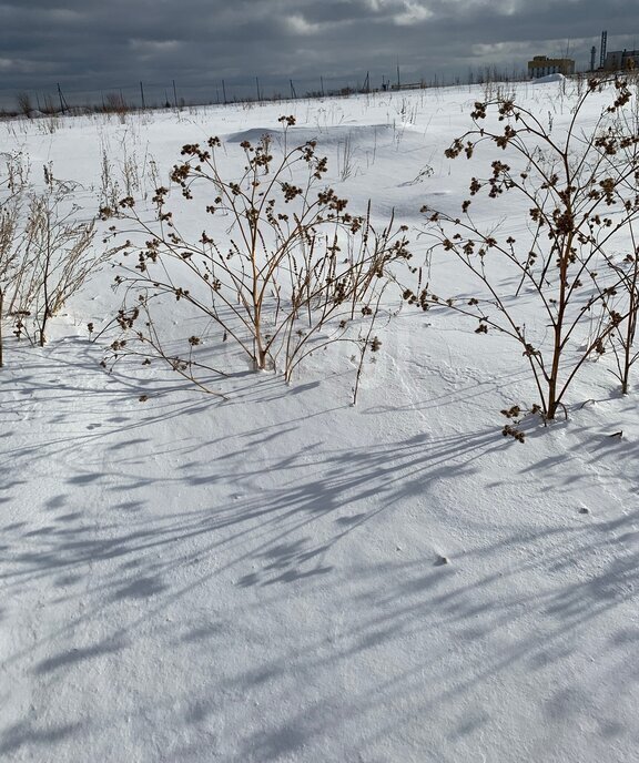 земля р-н Пригородный п Леневка фото 4