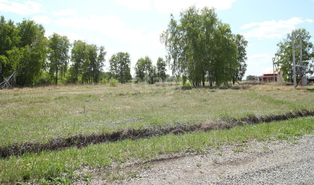 земля рп Коченево ул Ермака фото