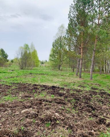 р-н Томский с Тахтамышево Томск фото