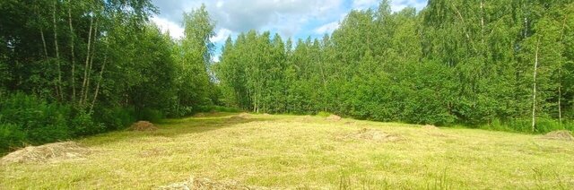 с Малышево ул Сосновая Раменское фото