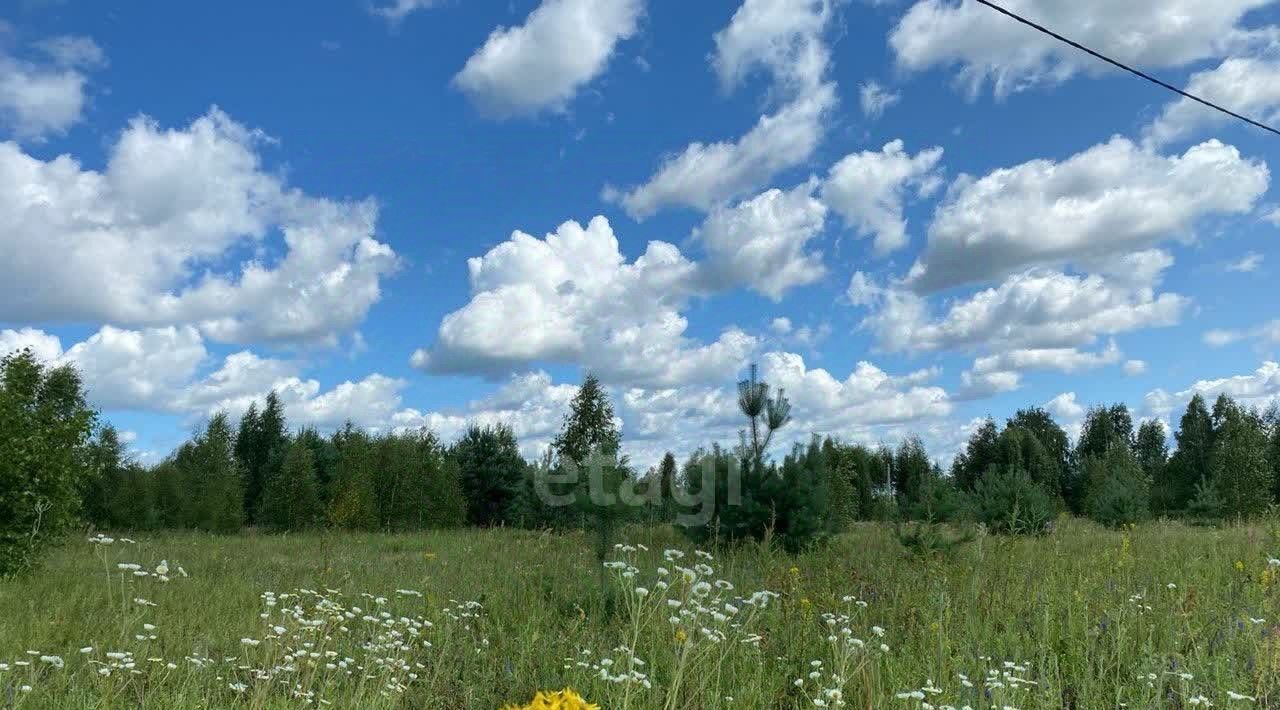 земля р-н Некрасовский с Диево-Городище Красный Профинтерн с пос фото 4