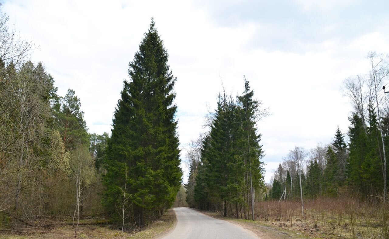 земля городской округ Дмитровский рп Икша фото 6