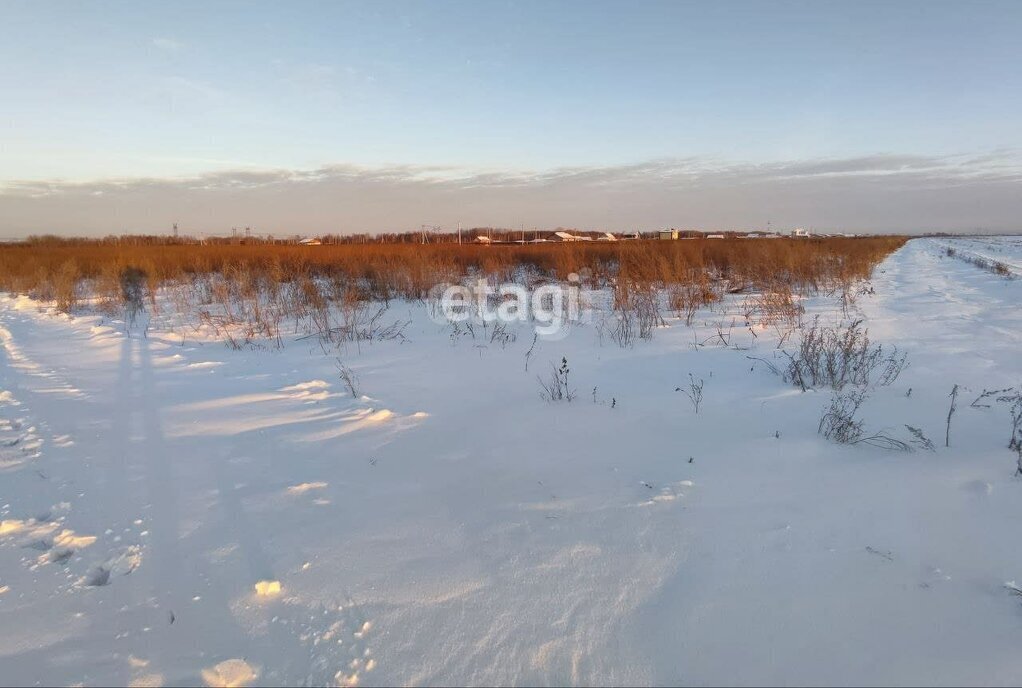 земля р-н Тюменский с Борки фото 8