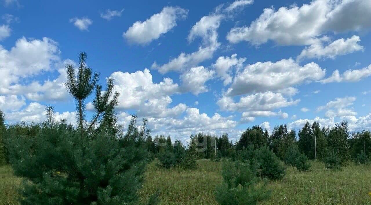 земля р-н Некрасовский с Диево-Городище Красный Профинтерн с пос фото 5