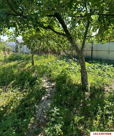 снт Лотос дом 135 муниципальное образование Краснодар фото