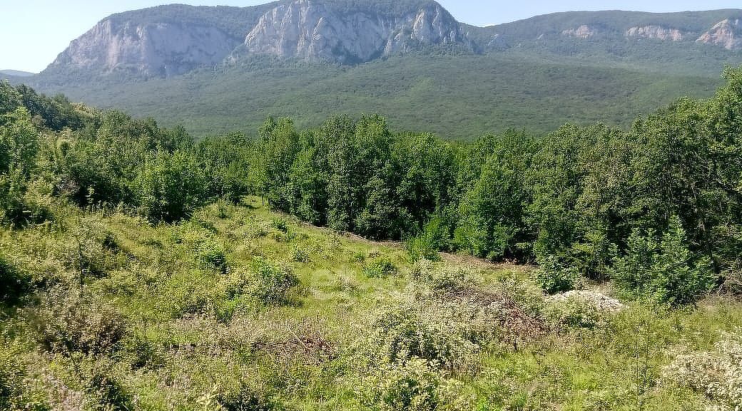 земля р-н Бахчисарайский с Голубинка ул Ленина фото 3