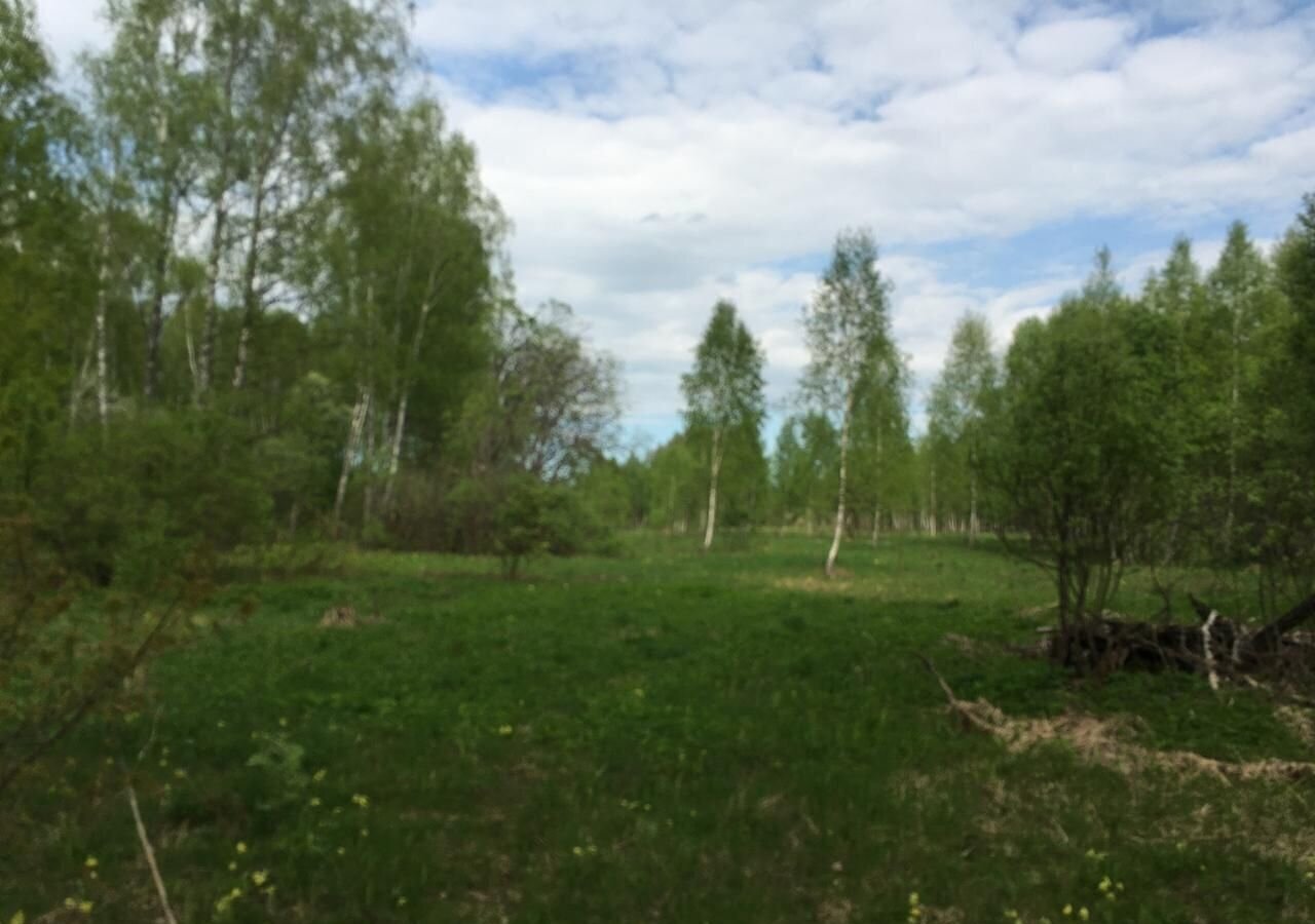 земля р-н Бабынинский д Альшаны сельское поселение село Бабынино, Бабынино фото 25