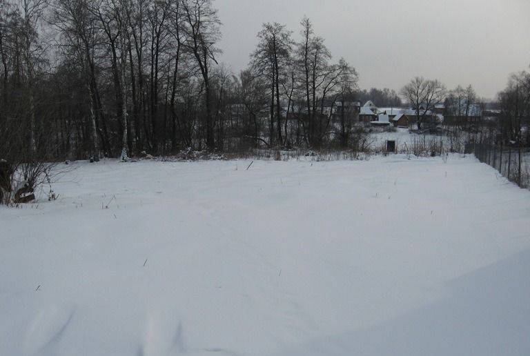 земля городской округ Чехов д Сохинки Пролетарский фото 3