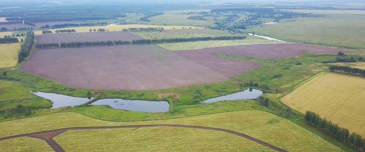 земля р-н Ясногорский Теляковское муниципальное образование, Зеленая миля кп фото 9