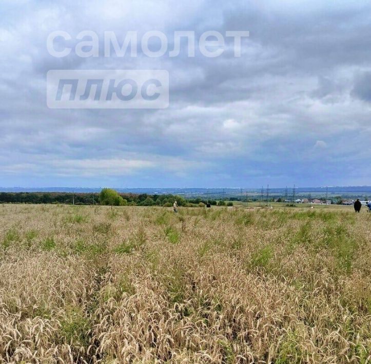 земля р-н Благовещенский д Эманино ул Речная Бедеево-Полянский сельсовет фото 3