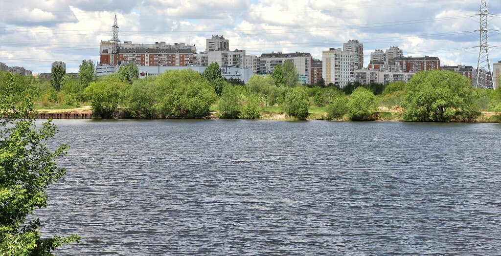 квартира г Москва метро Братиславская б-р Перервинский 22к/1 муниципальный округ Марьино фото 26