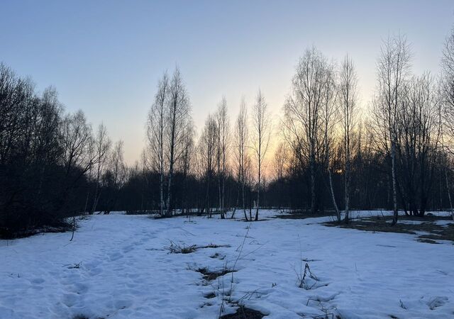 земля р-н Заднепровский Славутич, садовое некоммерческое товарищество фото