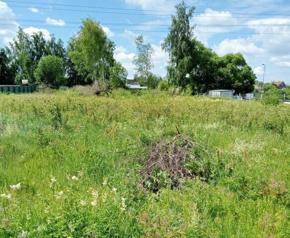 д Медведево ул Раздольная 6 фото