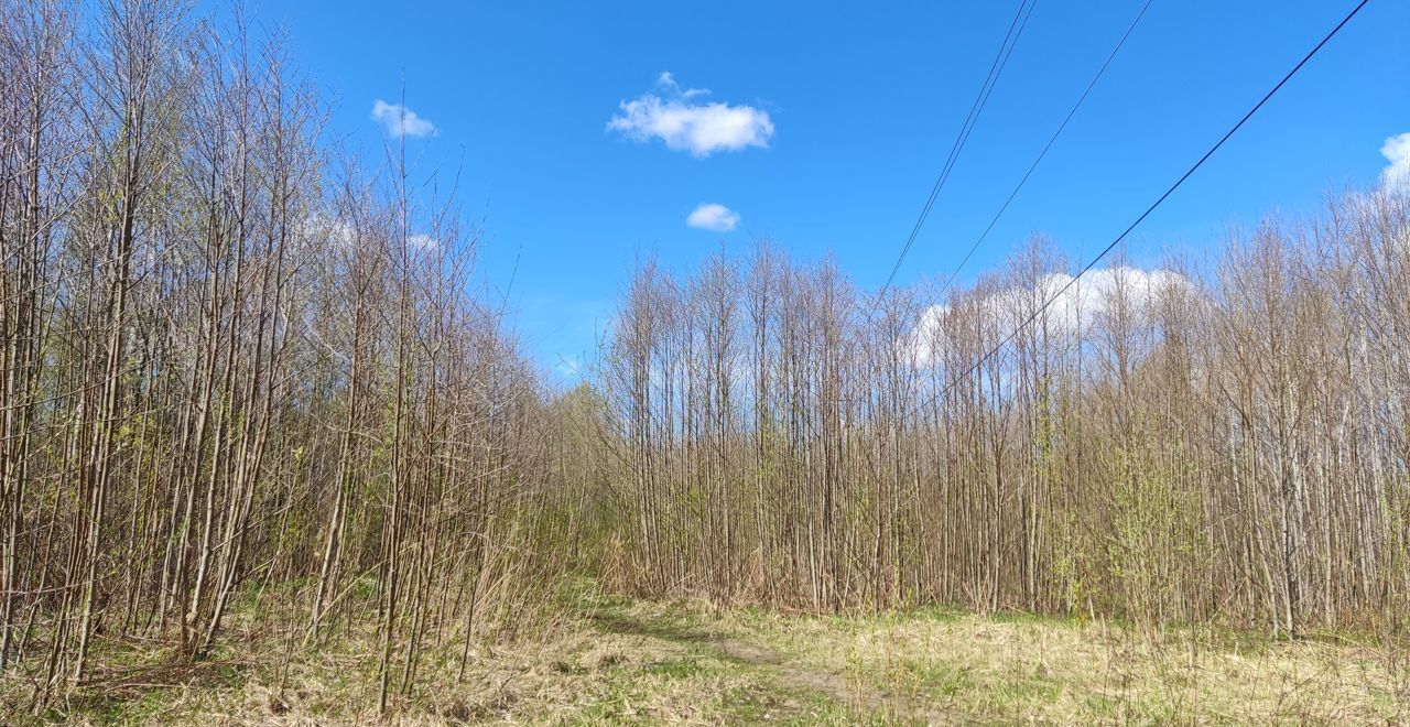 земля р-н Ломоносовский Виллозское городское поселение, Санкт-Петербург фото 5