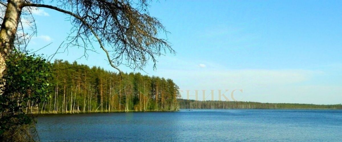 земля р-н Выборгский Рощинское городское поселение, Карельский Бриз кп фото 9